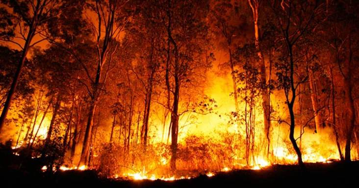 350.org – The money that’s fuelling the fire of global warming — and how we stop it