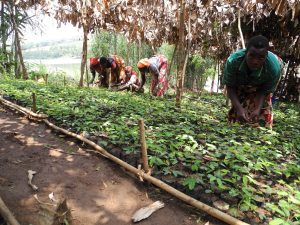 Développer l’agriculture familiale pour le bien-être des populations locales au Burundi
