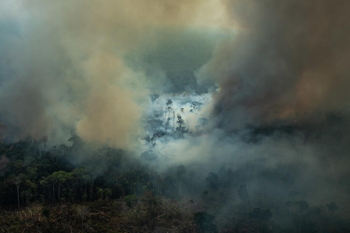 Greenpeace calls on fast food giants to take a stand against Bolsonaro’s Amazon destruction