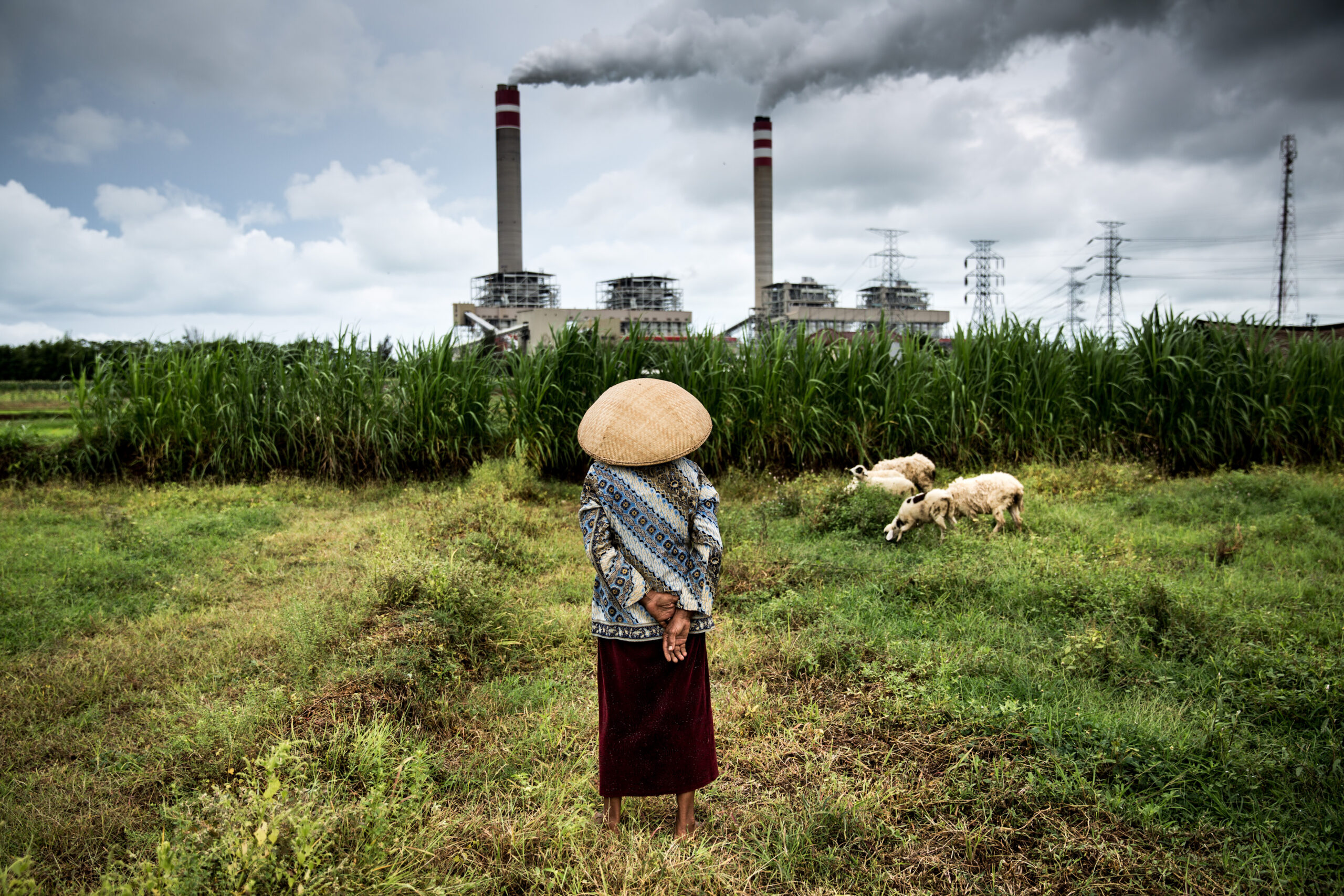 Japan funds toxic coal plants abroad emitting more pollution than domestic plants – Greenpeace analysis