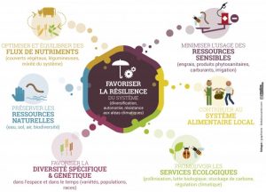 Qu'est-ce que l'agroécologie ? - Fondation Terre Solidaire