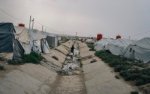 Les jihadistes au cœur du désaccord atlantiste
