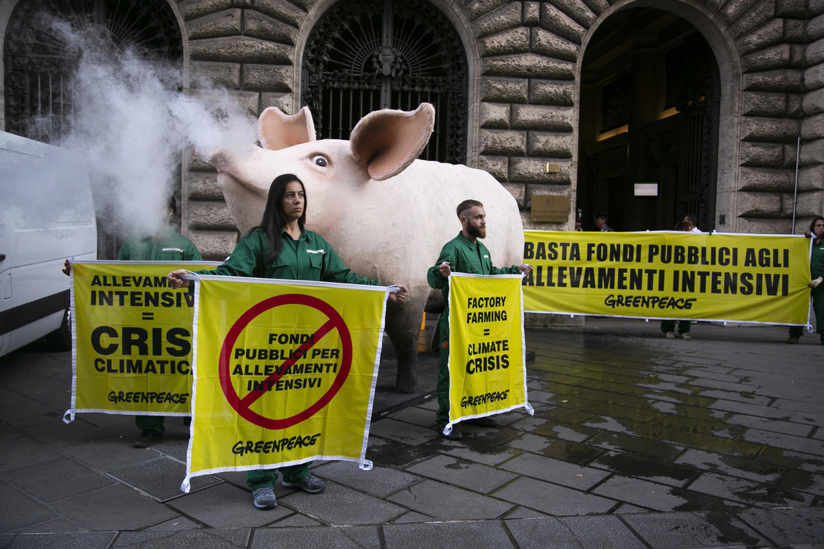 World’s Scientists call on city mayors to reduce meat in public canteens 