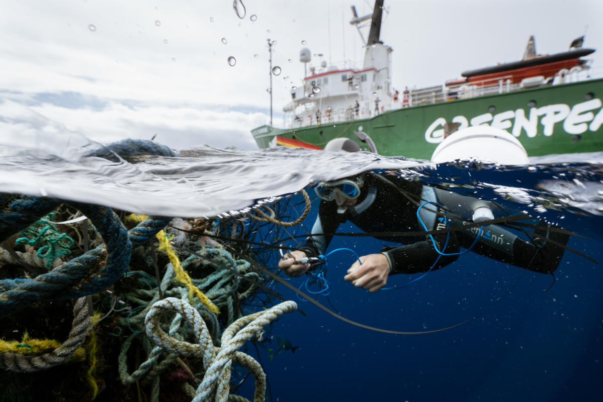 New Greenpeace report reveals the deadly impact of ghost gear