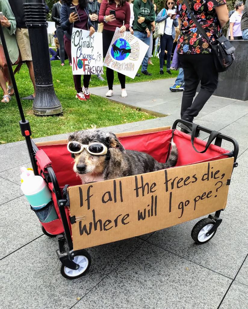 350.org – Canines of Climate Strike