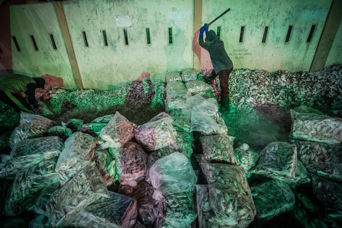 New testimonials suggest “modern slavery” for Southeast Asian migrant fishers working out at sea