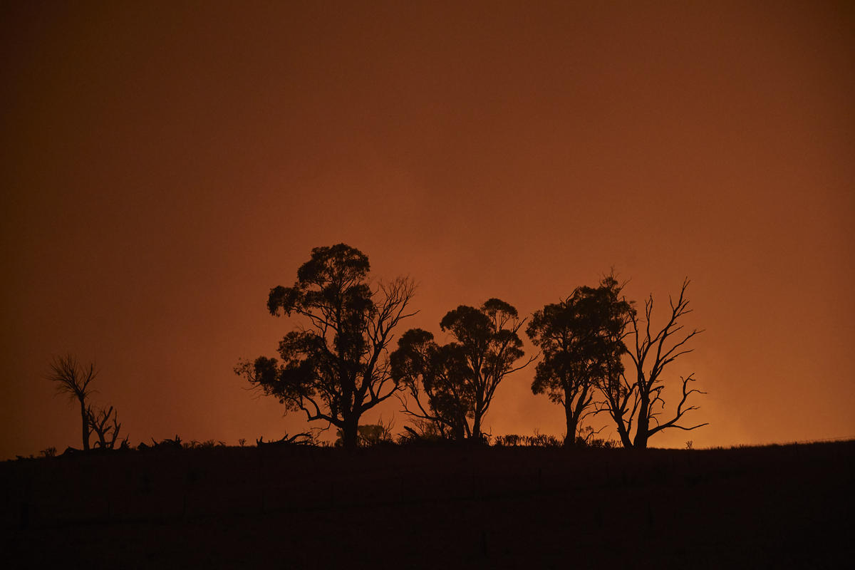 Greenpeace holds global protest telling Australian government: Act on climate, phase-out coal