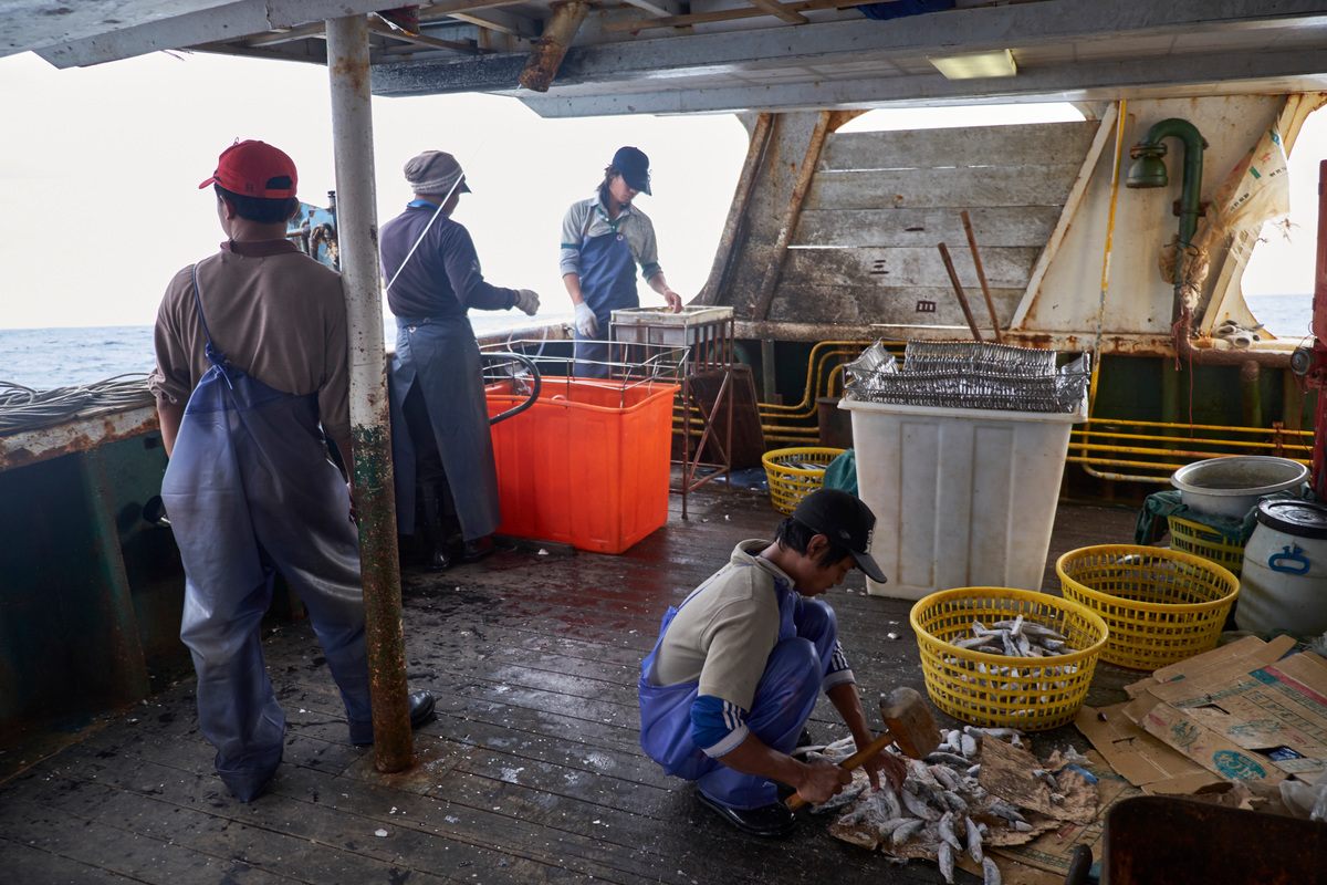 Taiwan’s major global tuna supplier shows “blind spots” to illegal fishing practices and modern slavery