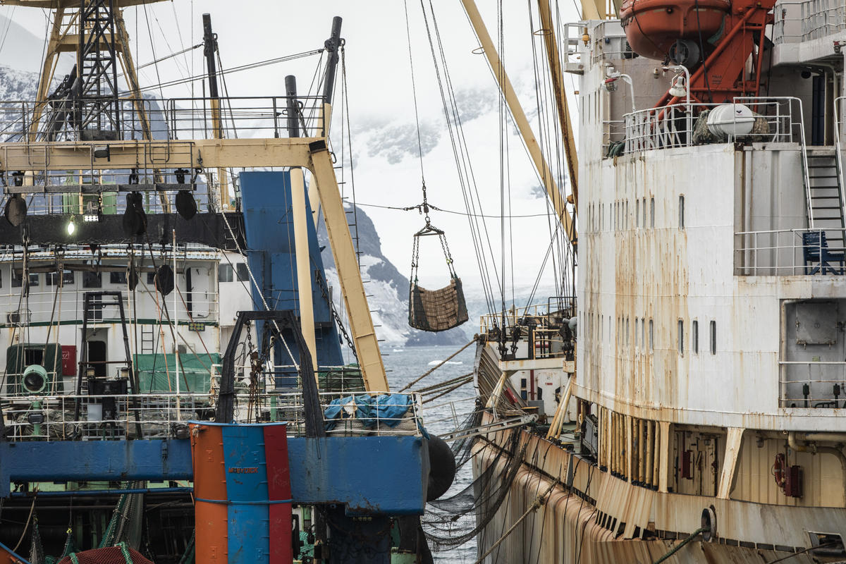 ‘Ticking time bomb’ in Antarctic as fishing vessels fail safety checks