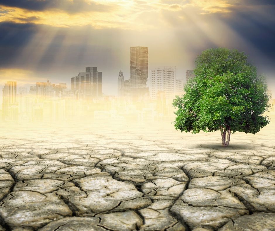 Inégalités et dérèglements climatiques : la parole aux citoyens !