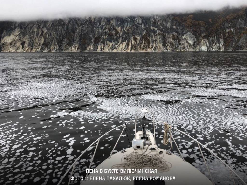 350.org – Oil leak causes ecological disaster in Kamchatka, Russia
