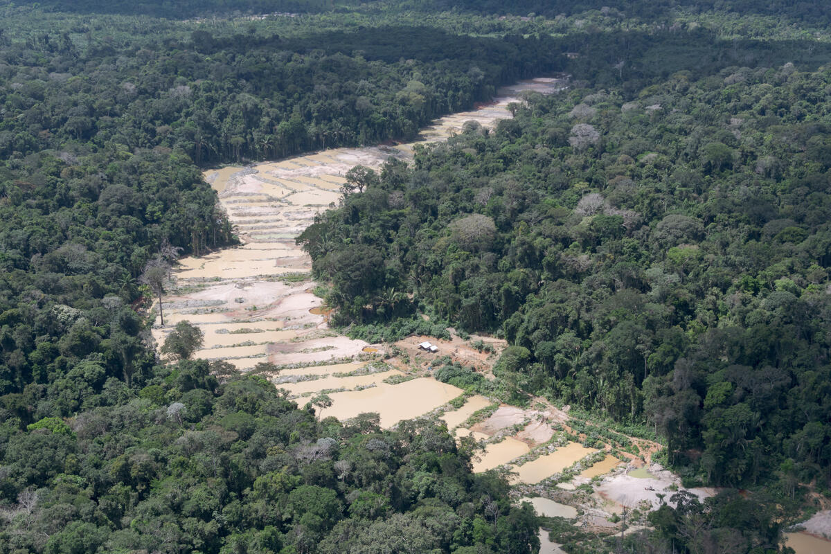 Organisations take Brazilian government to the Supreme Court over deforestation and human rights abuses
