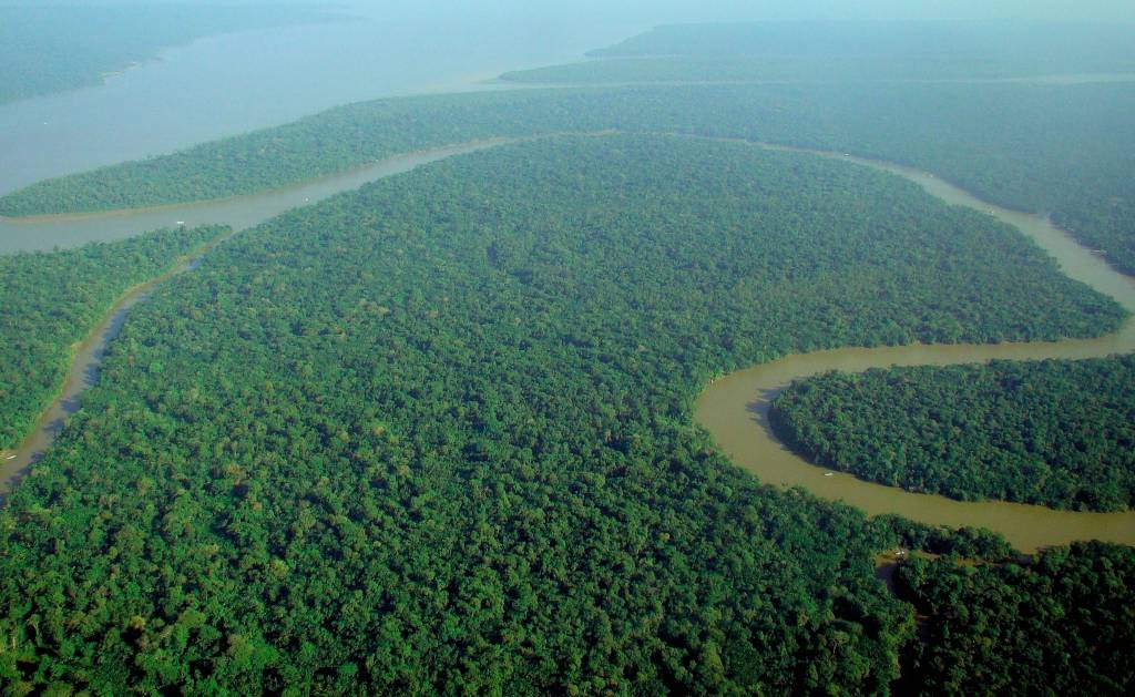 350.org – Indigenous and climate activists protest auctions for oil and gas exploration in the Amazon