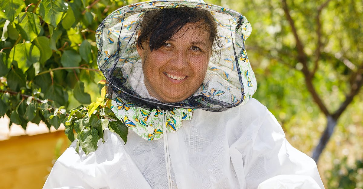 Les abeilles, un remède pour la réussite en affaires