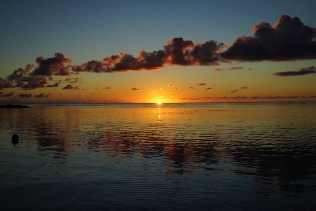 350.org – Finding Your Horizon