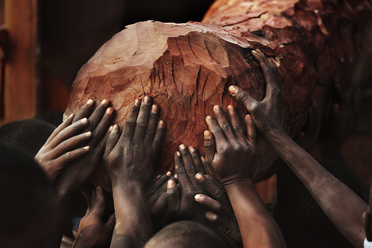 Greenpeace statement on WWF independent review of human rights violations