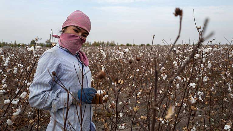 Le travail forcé et le travail des enfants systématiques ont pris fin dans le coton ouzbek