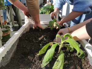Les Petits Composteurs s’adapte, rebondit et grandit !