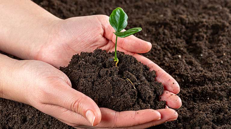 Investir dans l’éducation au climat afin de former une meilleure main-d’œuvre pour un avenir plus vert