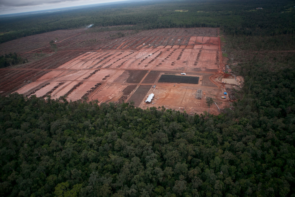 Planned deforestation threatens Indigenous land, intact forest landscapes in West Papua
