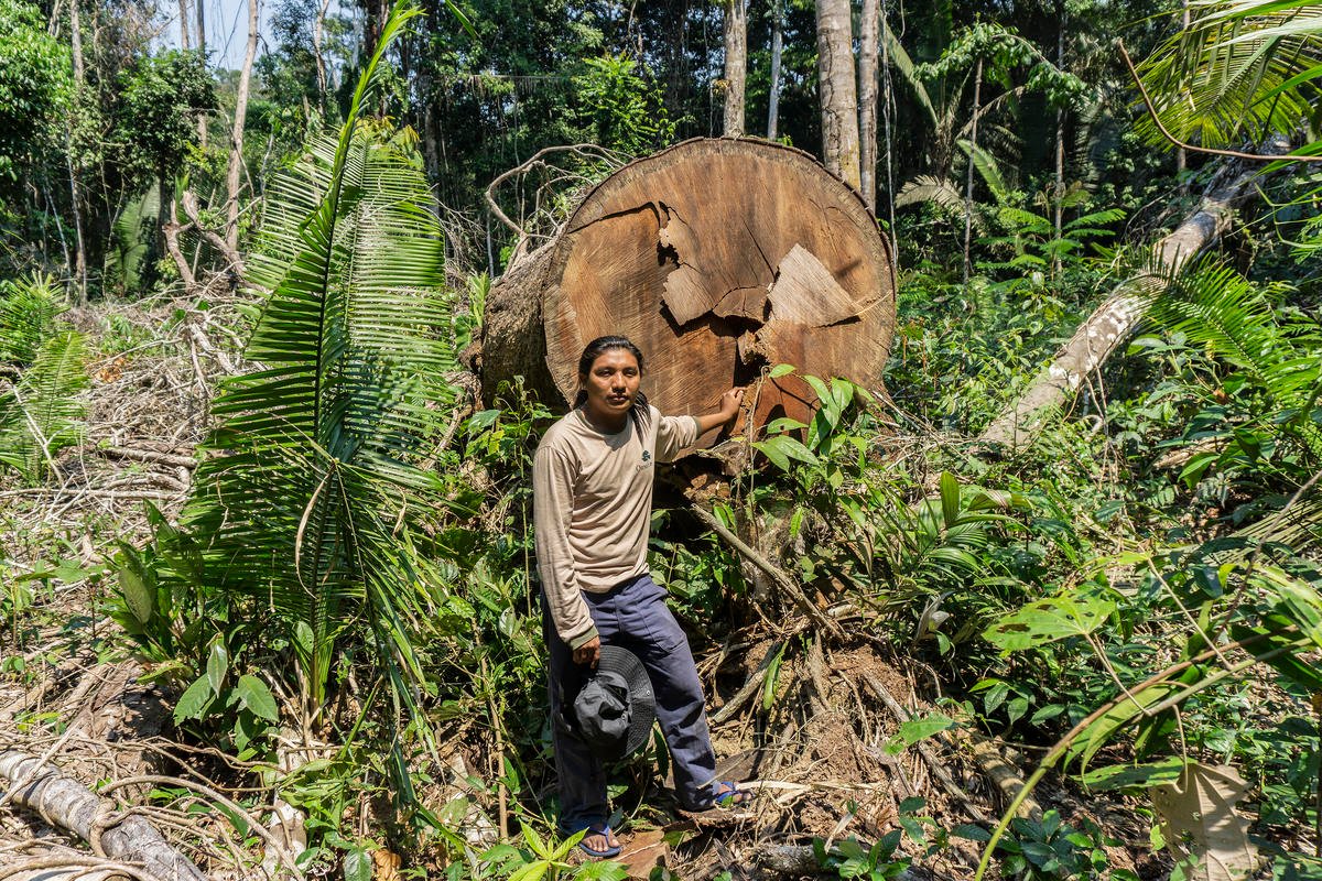 Karipuna Indigenous People sue Brazilian state for allowing land-grabs in their home