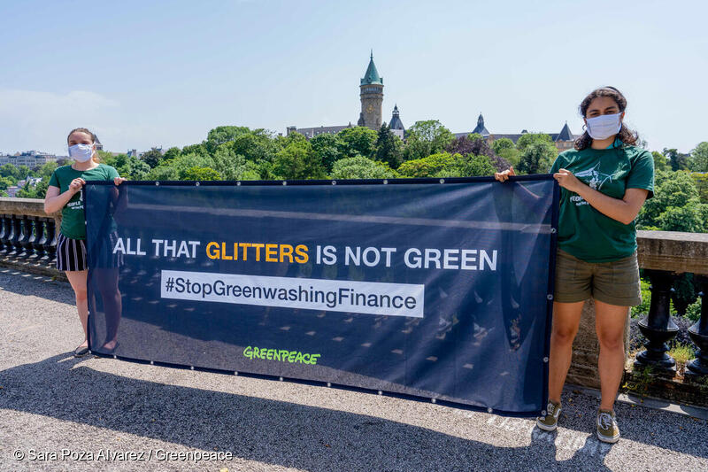 Green(washing) finance: sustainability funds fail to live up to their name