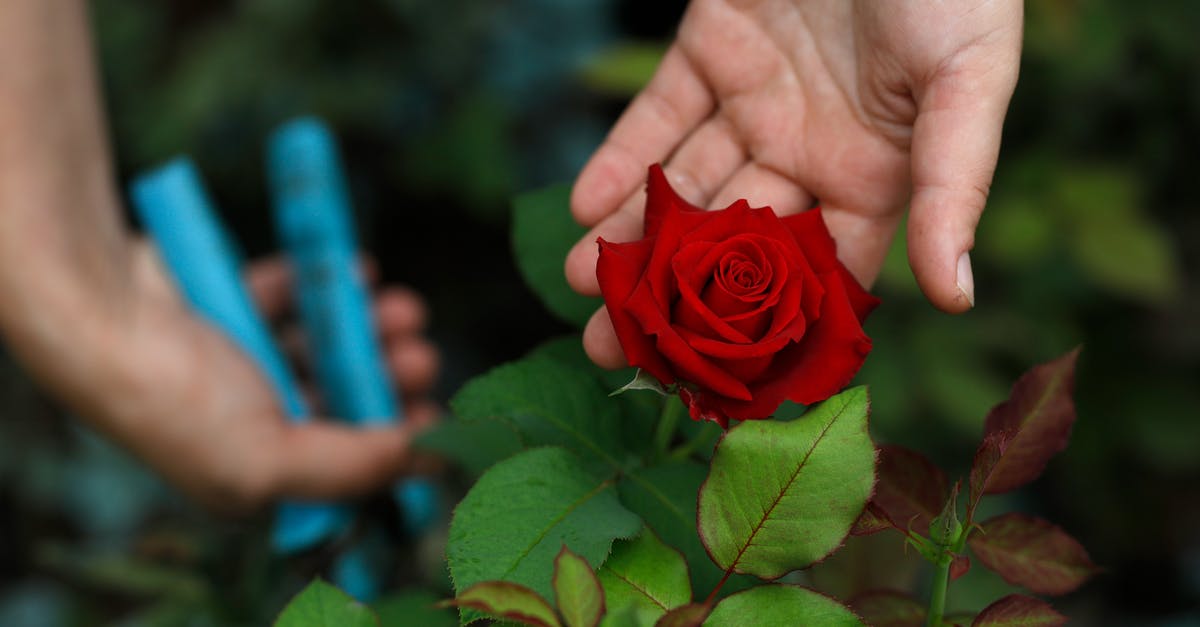 Une entreprise florissante pour une jeune entrepreneuse