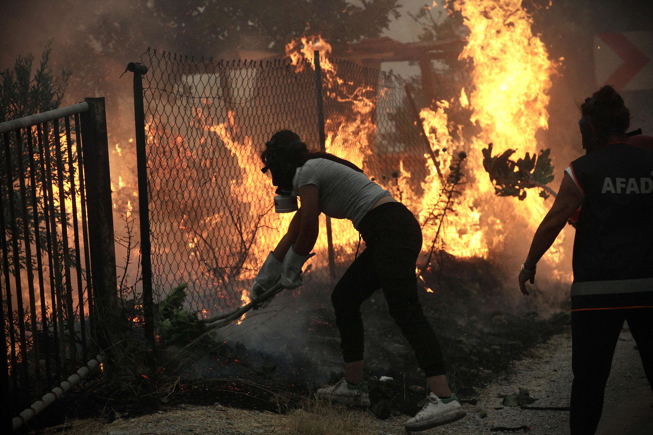 IPCC report signals decisive moment for humanity: Urgent climate action needed