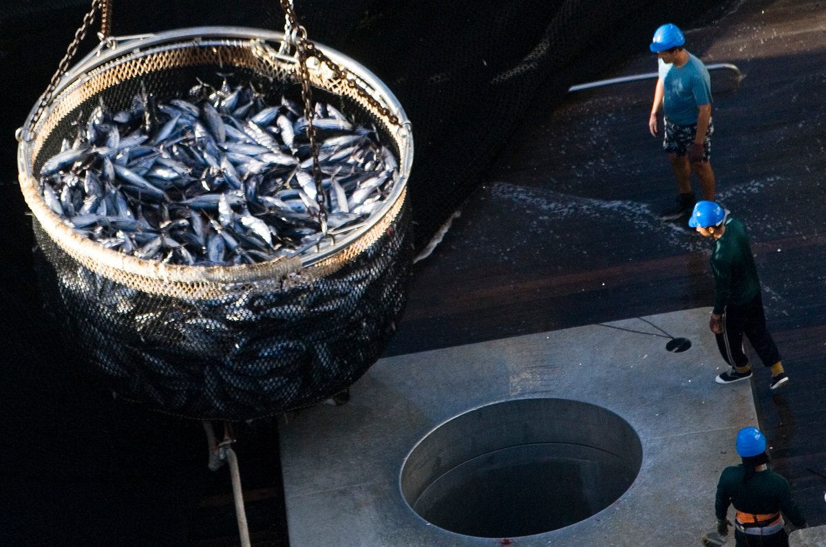 US government block fishing vessel on suspicion of forced labor – Greenpeace Southeast Asia response
