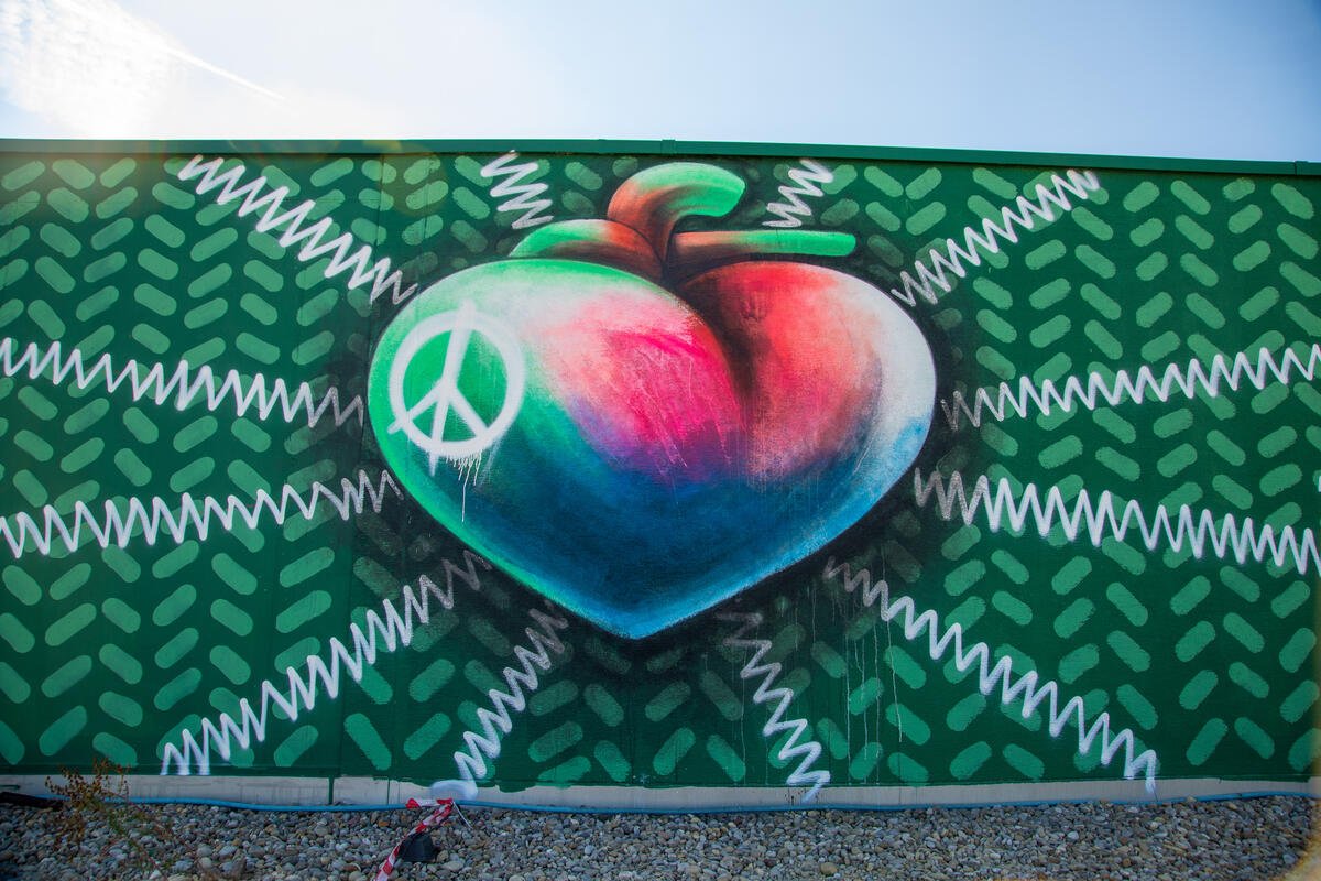 ‘Artivists’ create giant murals around the world as part of Greenpeace’s 50th anniversary