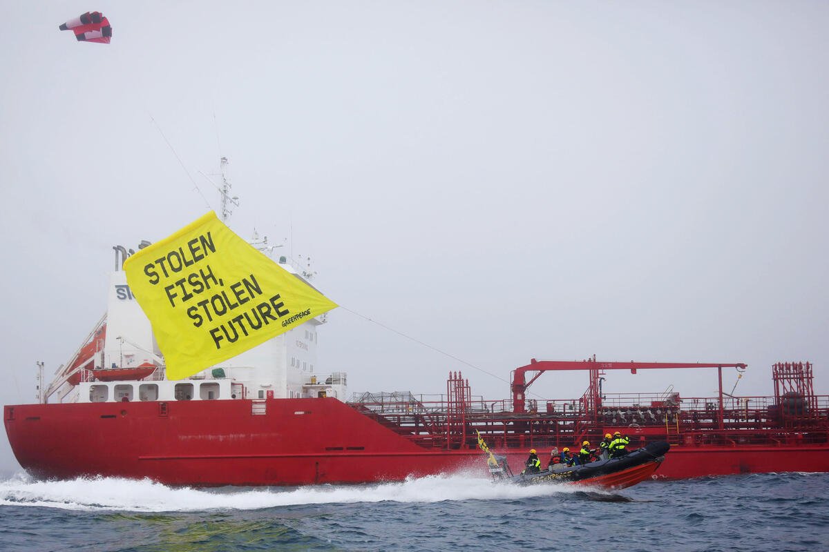Greenpeace intercepts fish oil tanker as dramatic industry expansion threatens livelihoods in West Africa