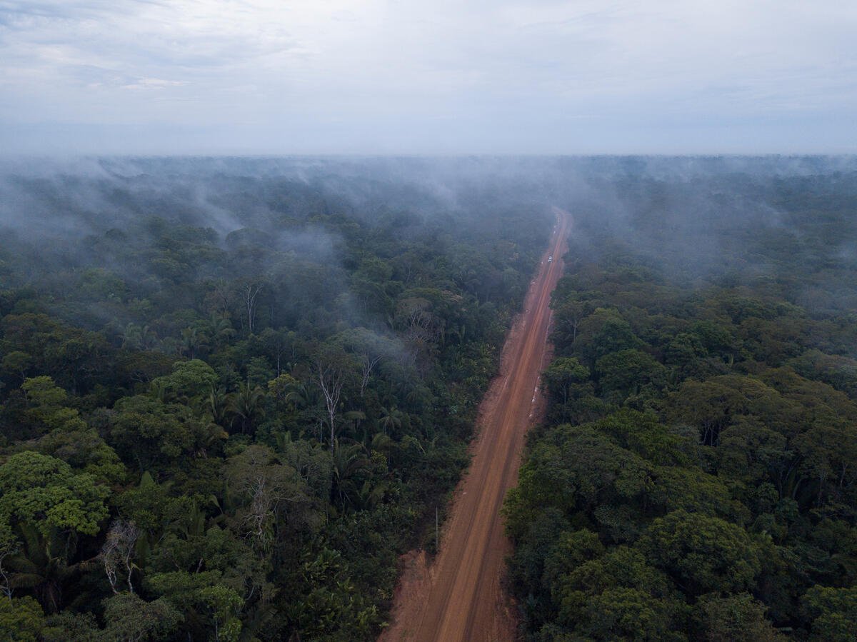 COP26 – Greenpeace condemns green light for another decade of forest destruction