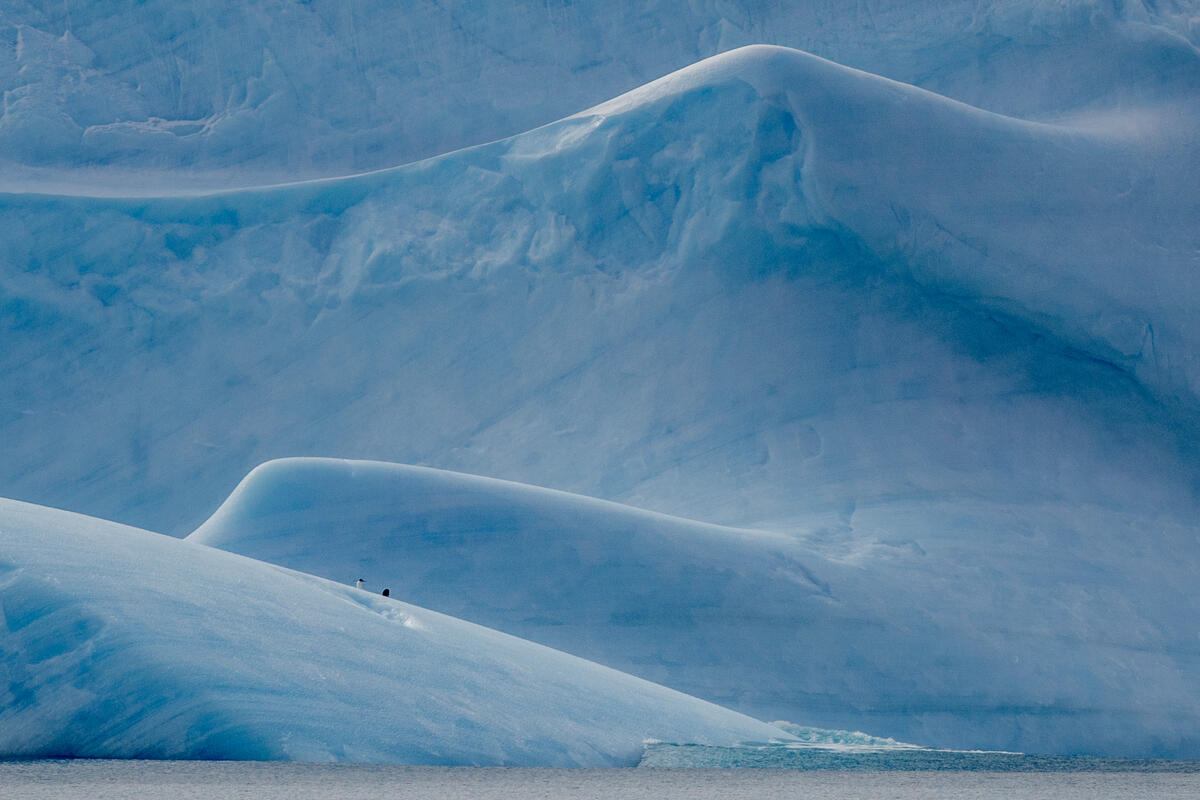 Antarctic Sea Ice Minimum set for a record low
