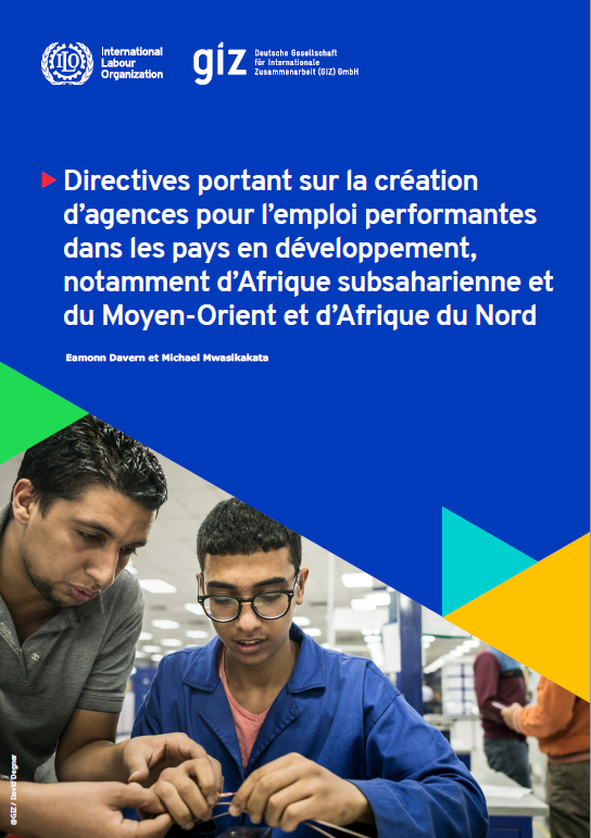 Directives portant sur la création d’agences pour l’emploi performantes dans les pays en développement, notamment d’Afrique subsaharienne et du Moyen-Orient et d’Afrique du Nord