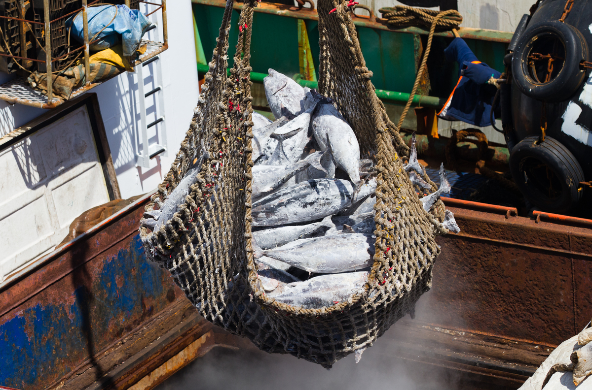 Greenpeace responds to US government Finding on use of forced labor on Taiwan fishing vessel