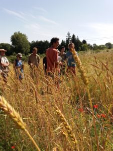 Une Europe agroécologique en 2050, c’est possible !