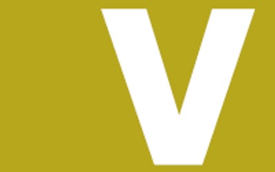 Le site internet du Réseau Voltaire résiste !