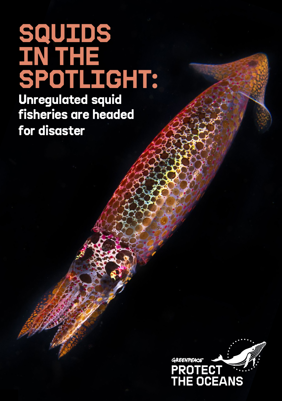‘Our oceans are being industrialised’ – ahead of major UN ocean conference, Greenpeace report lifts the lid on destructive fishing