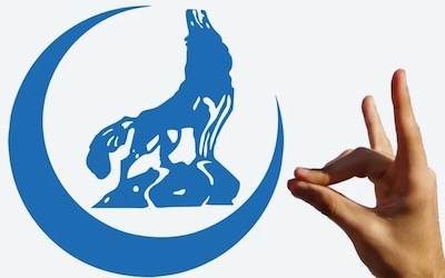 3 000 Loups gris turcs en Ukraine