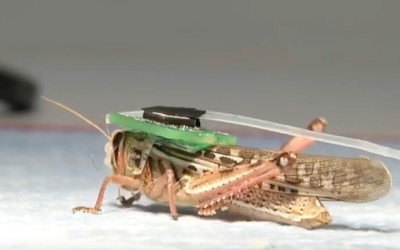L'hypothèse chinoise sur les expériences biologiques militaires US