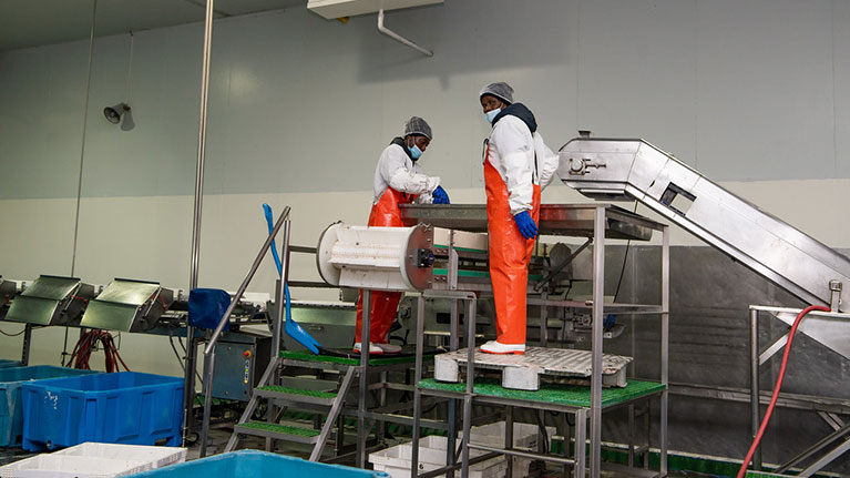Selon un nouveau rapport de l’OIT, la pandémie de COVID-19 a radicalement transformé les lieux de travail en Afrique