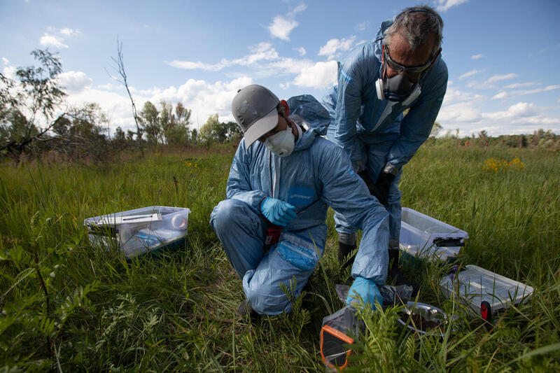 Greenpeace investigation challenges nuclear agency on Chornobyl radiation levels