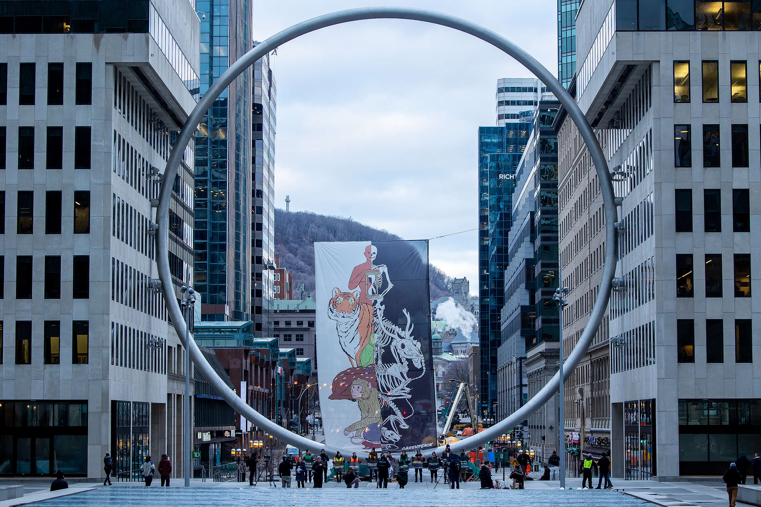 Greenpeace Canada drops banner at Montreal’s l’Anneau to kick off Nature COP15