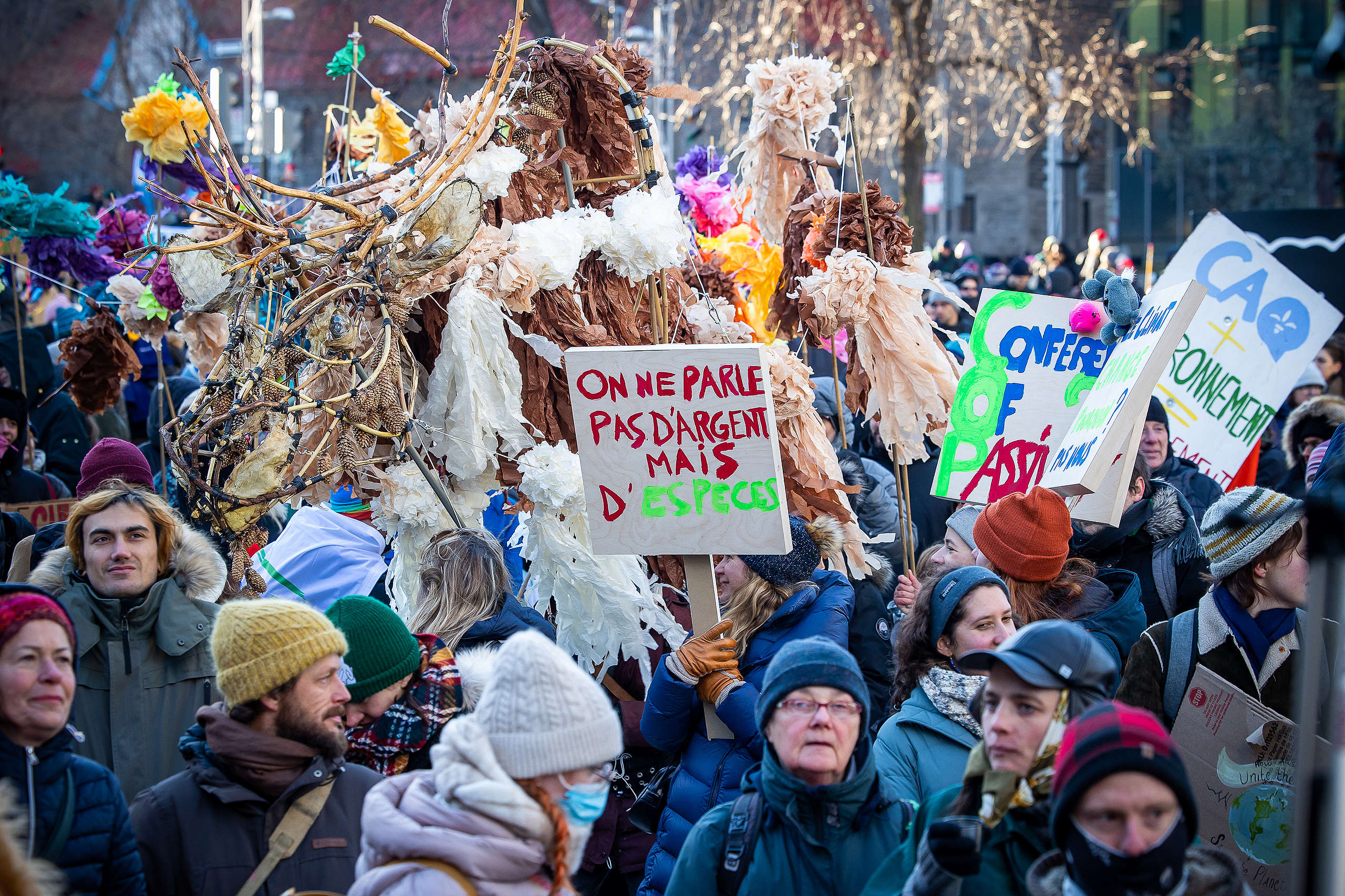 No money on the table for biodiversity at COP15: Greenpeace calls on the Global North to deliver 
