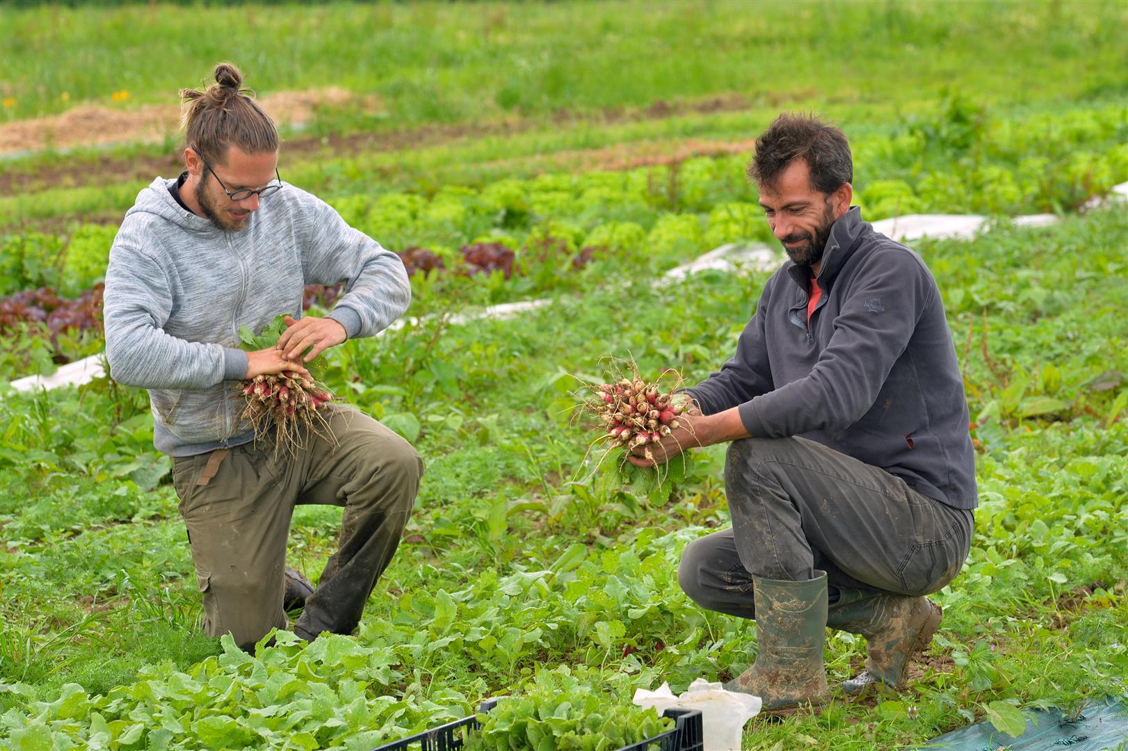 Réseau des Espaces-Test Agricoles