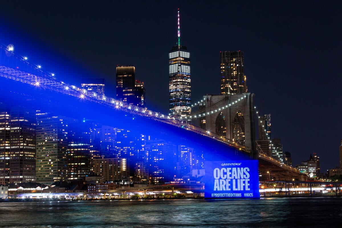 UN Ocean Treaty negotiations to resume as 30×30 hangs in the balance, Greenpeace opening statement