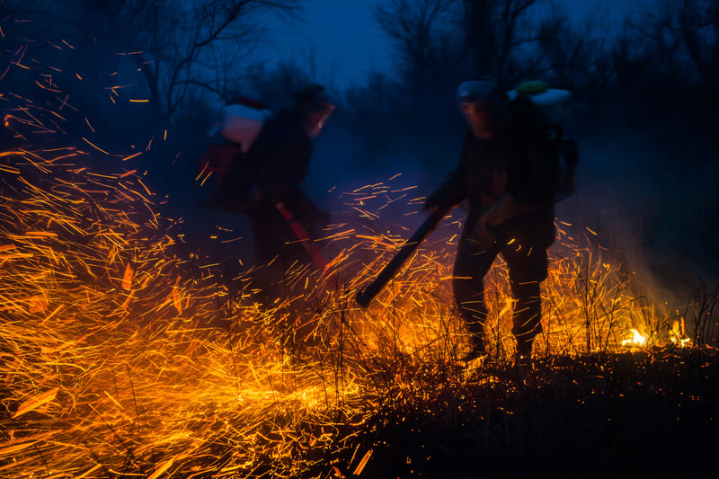 Environmental protection is ‘undesirable’ in Russia