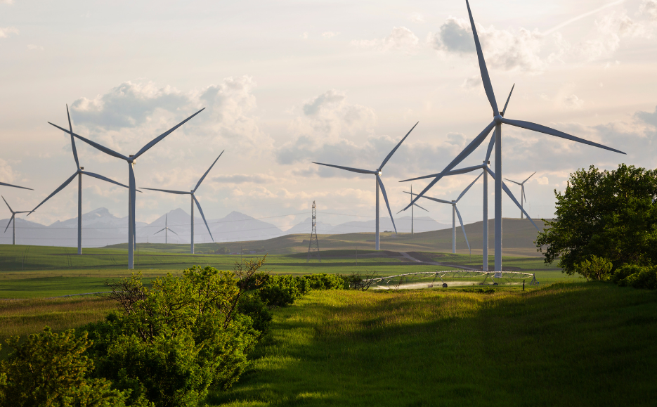 350.org Endorses Pine Tree Power Ballot Initiative