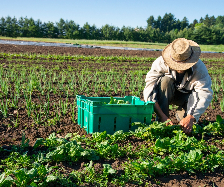 Soutenir les agriculteurs en difficulté
