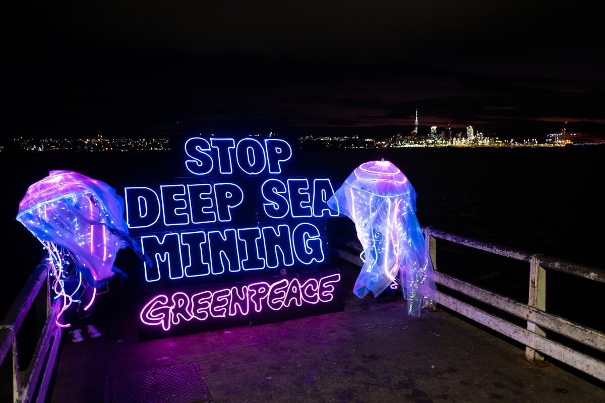 Critical deep sea mining meeting resumes as coalition of governments pushes for halt